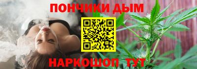 гидропоника Дубна