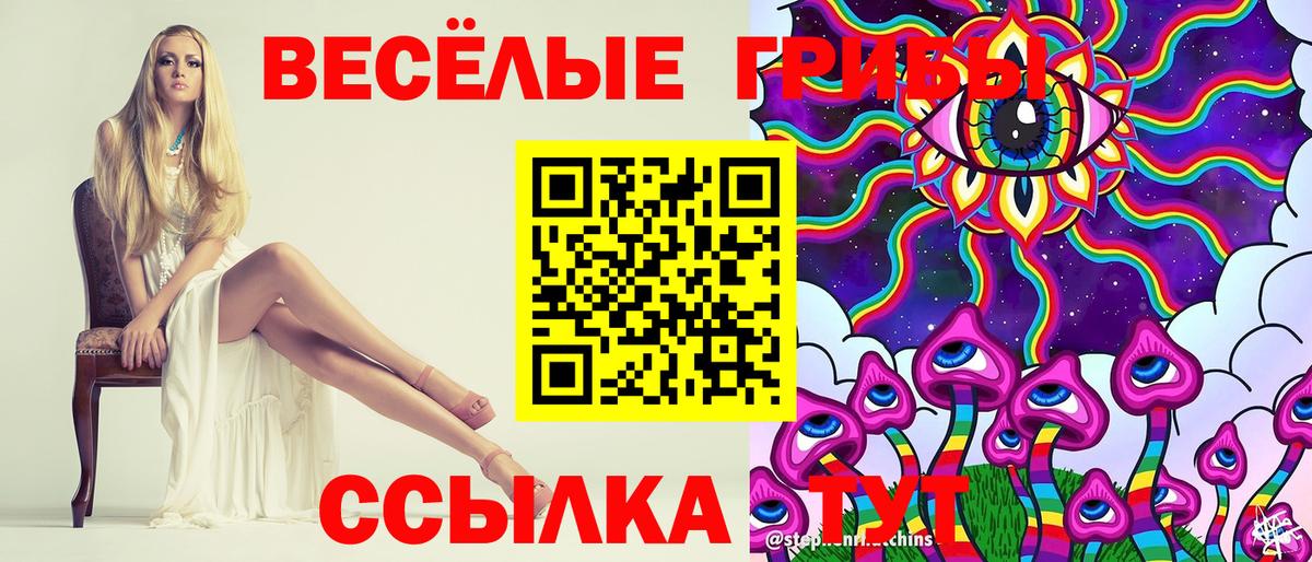 Псилоцибиновые грибы Psilocybe Михайловка