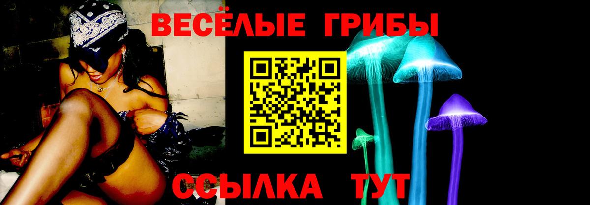 где найти наркотики  Вход с VPN  Михайловка  Псилоцибиновые грибы ЛСД  Галлюциногенные грибы Psilocybe 