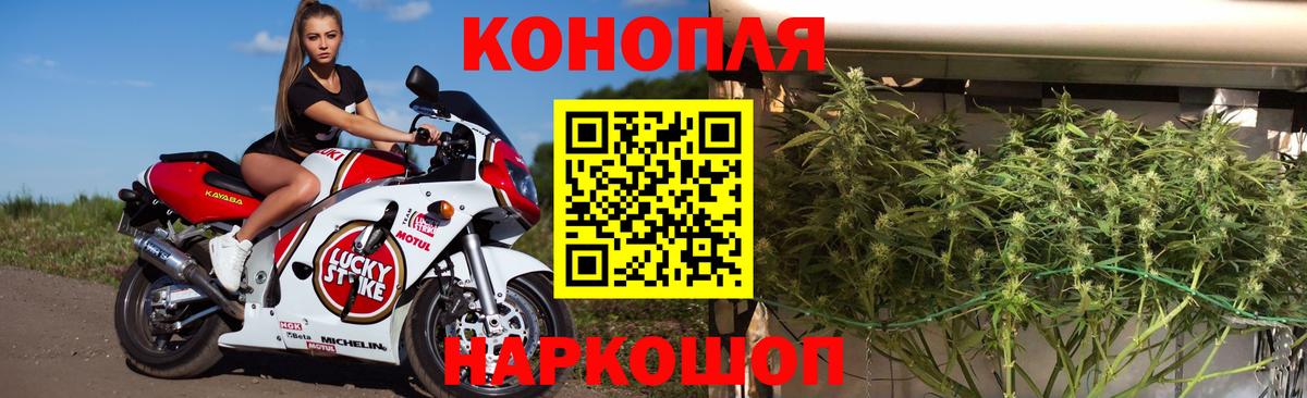 Бошки Шишки семена  Вход с VPN  Шишки марихуана марихуана  Каннабис семена  Михайловка 
